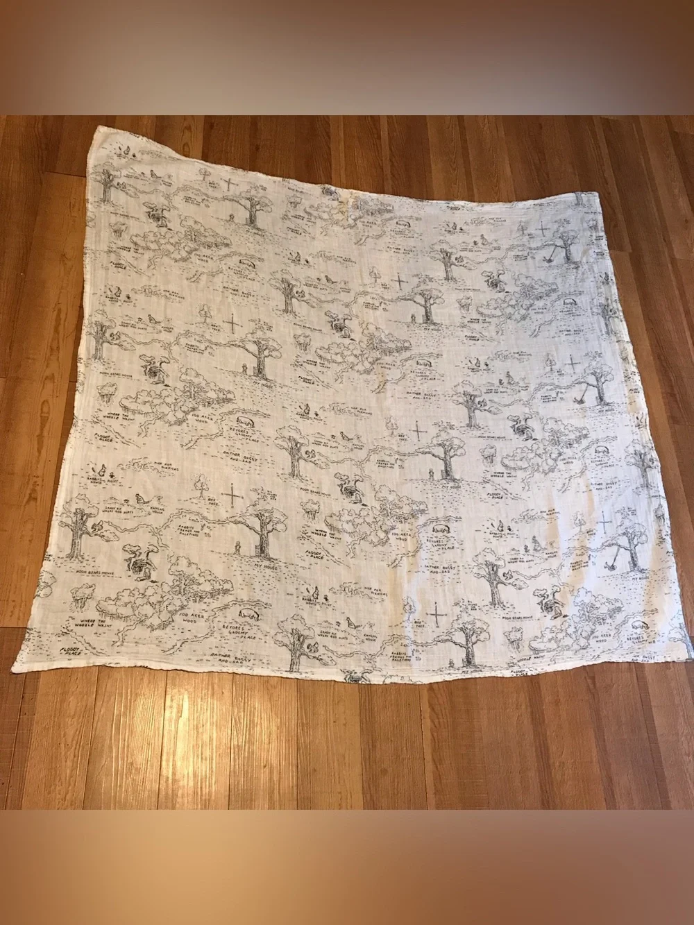 Pottery Barn Kids good used